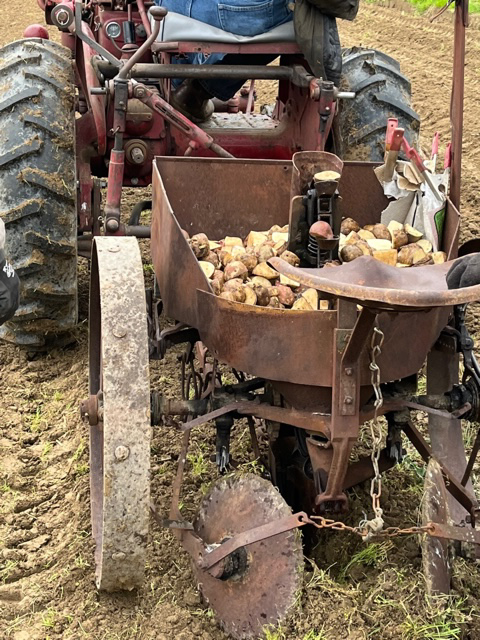 Potato planter on the back of a tractor