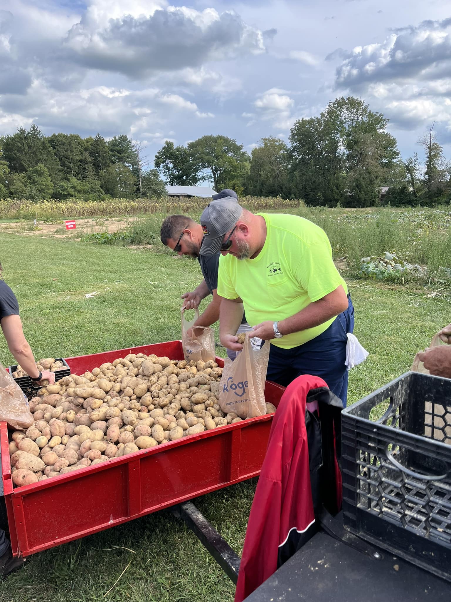 Club members bagging harvested potatoes from a red wagon in a field
